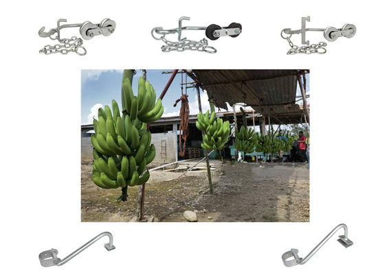 150kg-220KG Muz Kancaları Kolay Taşıma Ekipmanları İçin Asılı Silindirler